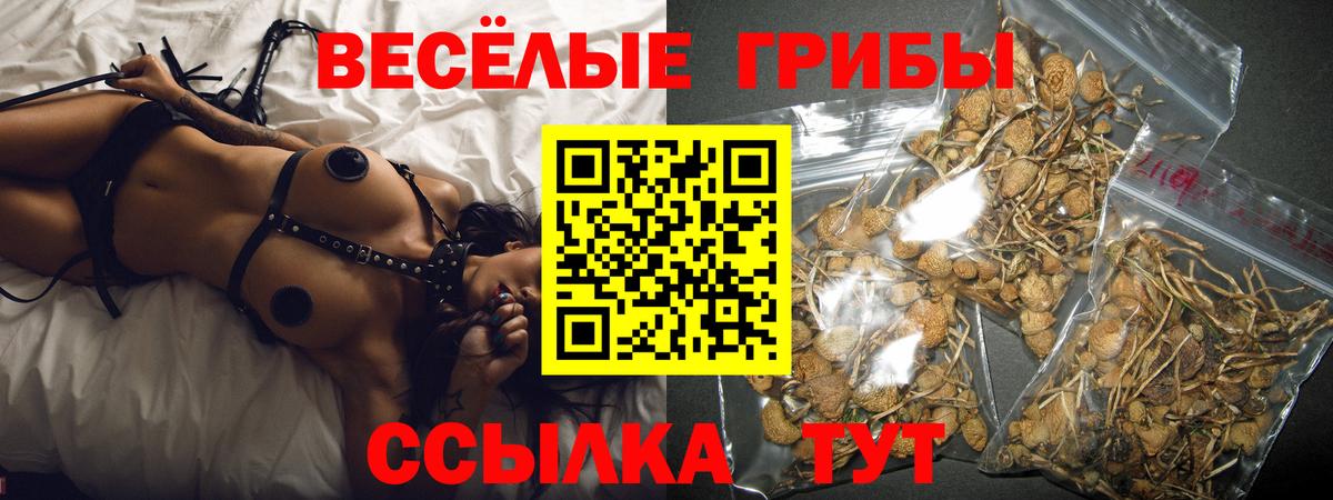 Псилоцибиновые грибы Cubensis Донецк