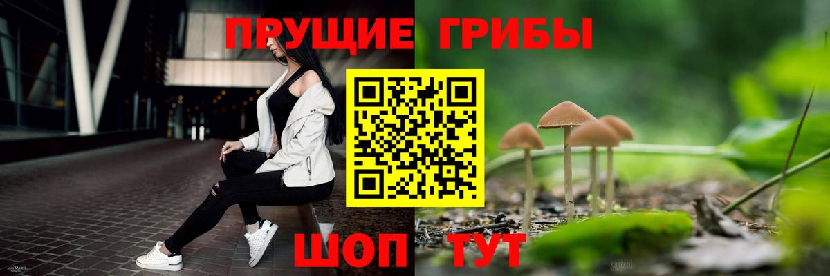 Донецк  Псилоцибиновые грибы GOLDEN TEACHER  Вход с VPN 