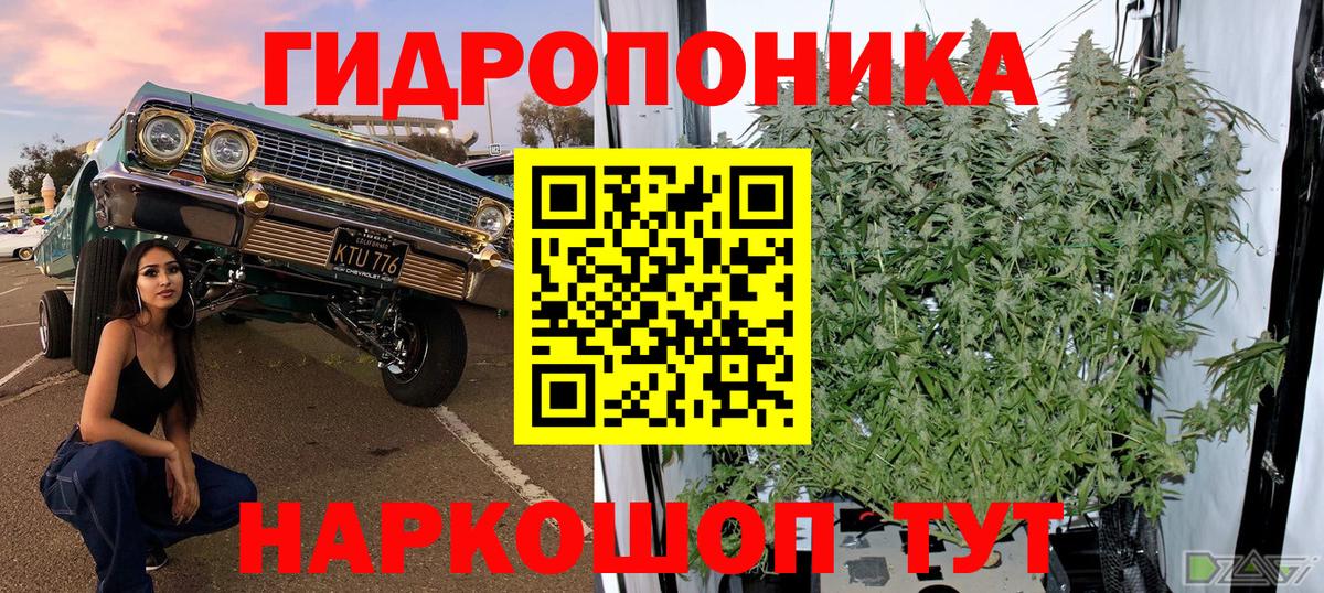 Бошки Шишки сатива Донецк